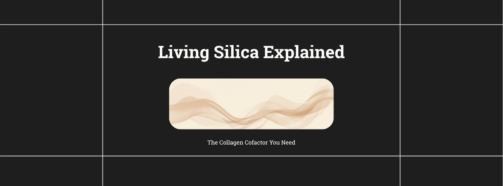 What is Living Silica®? The Collagen Cofactor Most Brands Skip