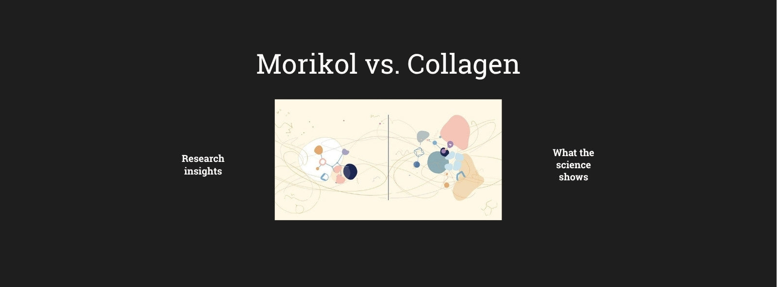 Morikol® vs. Regular Collagen: What the Research Actually Shows